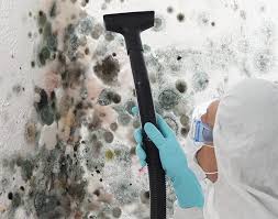 Best Biohazard Mold Removal  in Meadow Vista, CA